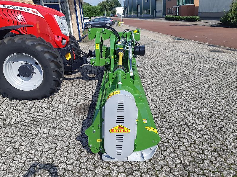 Celli Celli Gemini/P-600