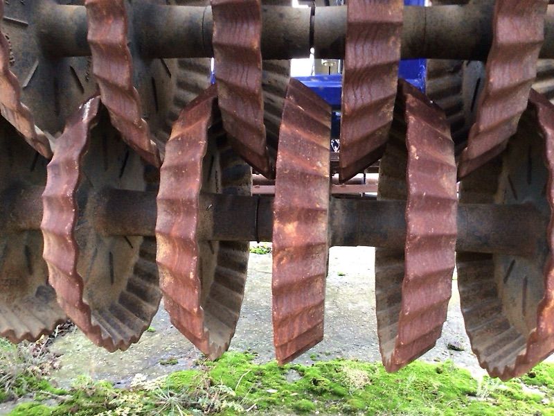 DALBO Maxi - Roll 630