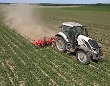 NIVA-TOP ZSA-6-SK-H Row cultivator / Hackmaschinen / Hackgerät / Pielnik NIVA-TOP ZSA-6-SK-H Row cultivator / Hackmaschinen / Hackgerät / Pielnik