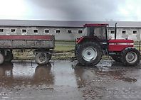 Case IH 1455xl Case IH 1455xl