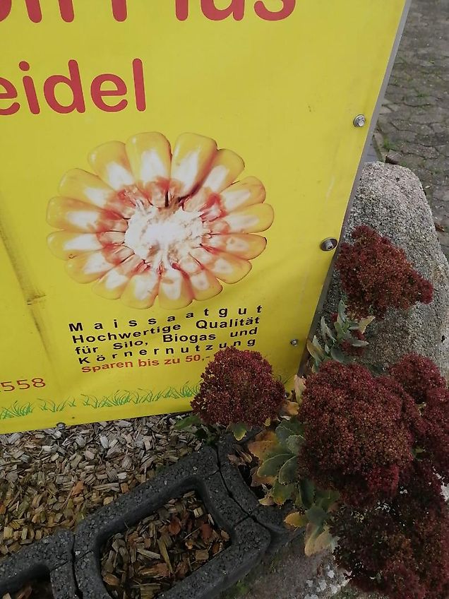 Kongskilde Howard Bodenfräse 315 cm Arbeitsbreite mit Pakerwalze & Hubgerüst Hydrolift Model HR28 305 DU mit 3 Gang Schaltgetriebe