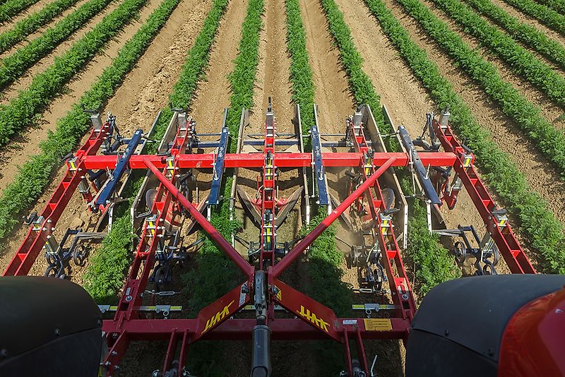 HAK HAVELAAR; EX 75 ; für 4 Gemüse-, Kartoffeldaemme , Dammhackmaschine , 4 reihig , VERSTELLBAR ( mit Zusatzoptionen)