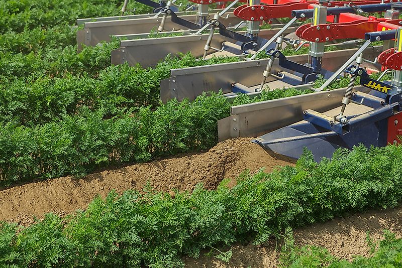 HAK HAVELAAR; EX 75 ; für 4 Gemüse-, Kartoffeldaemme , Dammhackmaschine , 4 reihig , VERSTELLBAR ( mit Zusatzoptionen)