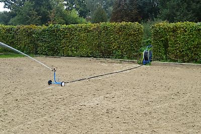 Buchholz Wasserprinz