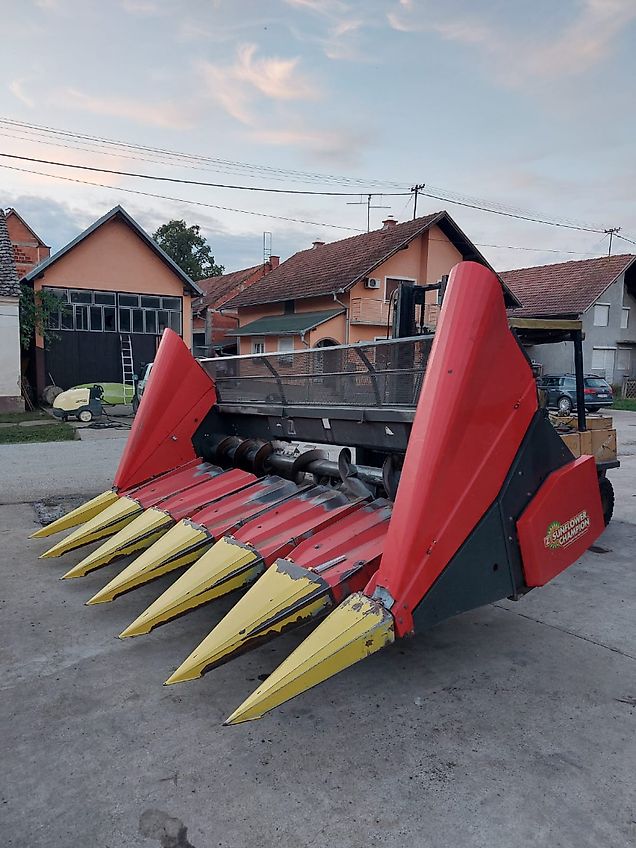 Ziegler Sunflower champion