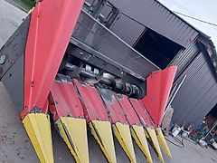 Ziegler Sunflower champion